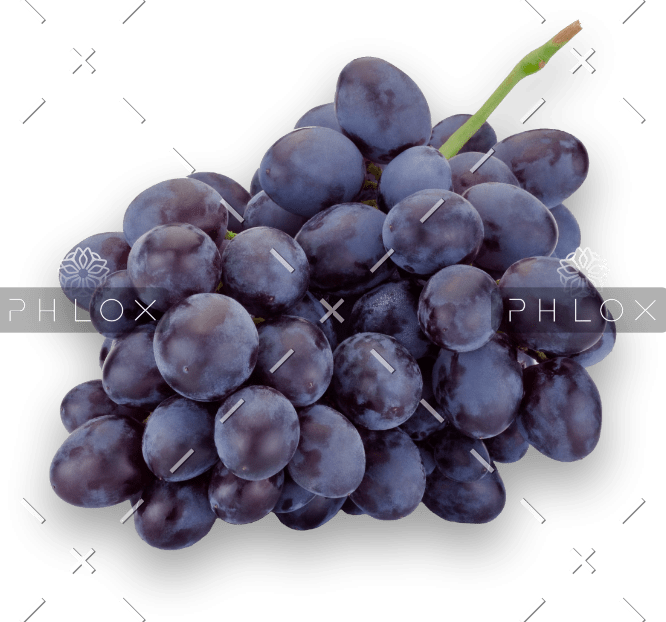 demo-attachment-489-fresh-blue-grapes-isolated-on-a-white-background-PHBB52U